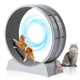 Cat Exercise Wheel, 31 inch Cat Wheels for Indoor Cats, Cat Treadmill Wheel Exerciser with Carpeted Runway